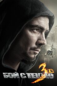Shadow Boxing 3. The Final Round 2011 on netflix