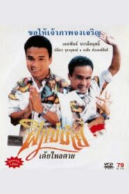 Widow Ghost 1990 on netflix