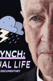 David Lynch: The Virtual Life 2020 on netflix