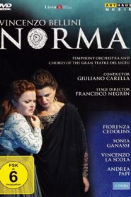 Norma 2007 on netflix