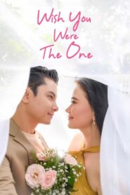 Wish You Were The One 2023 on netflix