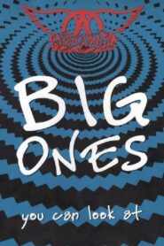 Aerosmith: Big Ones You Can Look At 1994 on netflix