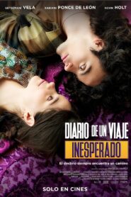 Diary of an Unexpected Journey 2023 on netflix