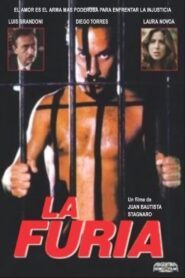 The Fury 1997 on netflix