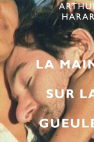 La main sur la gueule 2007 on netflix