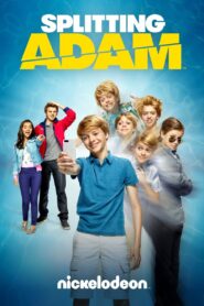 Splitting Adam 2015 on netflix
