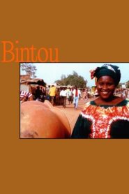 Bintou 2001 on netflix