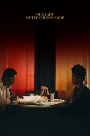 Our Lady of the Chinese Shop 2022 on netflix