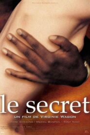 The Secret 2000 on netflix