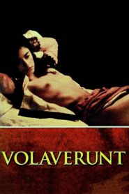 Volaverunt 1999 on netflix