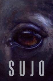 Sujo 2024 on netflix