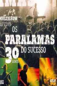 Os Paralamas do Sucesso – 30 Anos Multishow ao Vivo 2013 on netflix