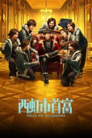 Hello Mr. Billionaire 2018 on netflix