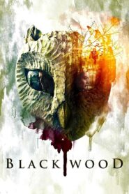 Blackwood 2014 on netflix