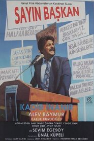 Sayın Başkan 1990 on netflix
