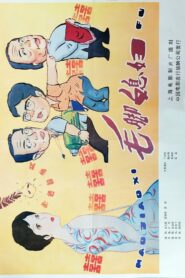 毛脚媳妇 1984 on netflix