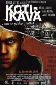 Homesick 2005 on netflix