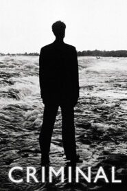Criminal 1994 on netflix