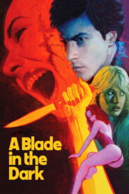 A Blade in the Dark 1983 on netflix