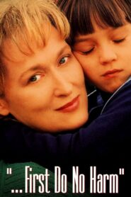…First Do No Harm 1997 on netflix