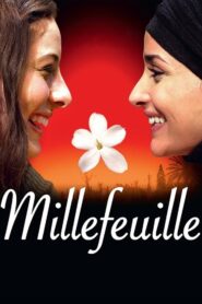 Hidden Beauties 2013 on netflix