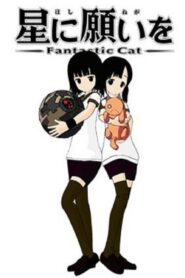 Wish Upon a Star: Fantastic Cat 2009 on netflix