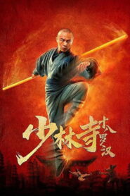 Eighteen Arhats of Shaolin Temple 2020 on netflix