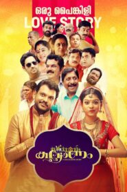 Kalyanam 2018 on netflix