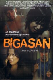 Bigasan 2010 on netflix