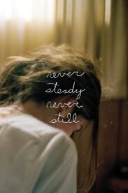 Never Steady, Never Still 2017 on netflix