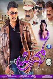 Prince 2011 on netflix