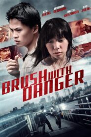 Brush with Danger 2014 on netflix
