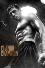 Chandu Champion 2024 on netflix