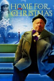 Home for Christmas 1990 on netflix