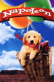Napoleon 1995 on netflix