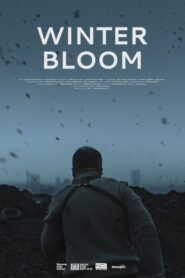 Winter Bloom 2022 on netflix