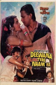 Deewana Tere Naam Ka 1987 on netflix