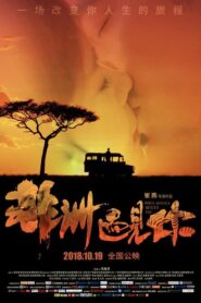 When Africa Meets You 2018 on netflix