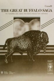 The Great Buffalo Saga 1985 on netflix