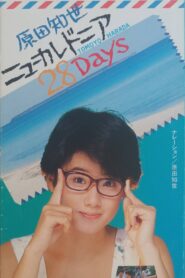 New Caledonia 28 Days 1985 on netflix