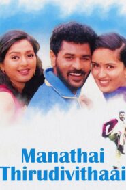 Manadhai Thirudivittai 2001 on netflix