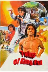 Twins of Kung Fu 1981 on netflix