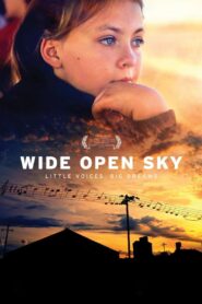 Wide Open Sky 2015 on netflix