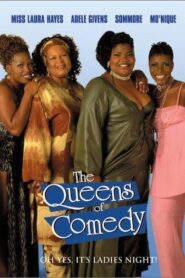 The Queens of Comedy 2001 on netflix