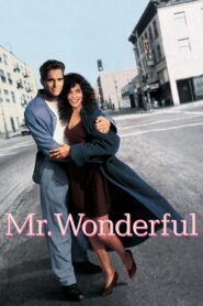 Mr. Wonderful 1993 on netflix