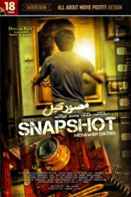Snapshot 2012 on netflix