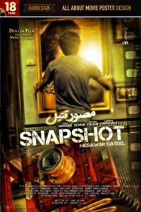 Snapshot 2012 on netflix