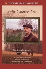 Split Cherry Tree 1982 on netflix