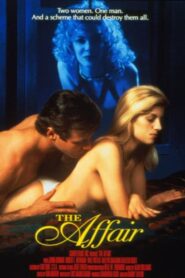 The Affair 1995 on netflix