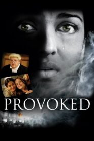 Provoked: A True Story 2007 on netflix